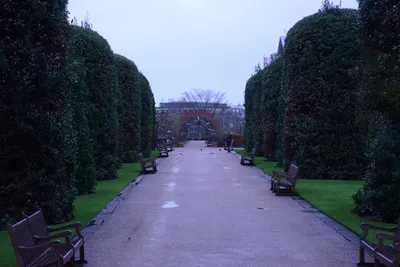 DSC_6182 (Large).JPG